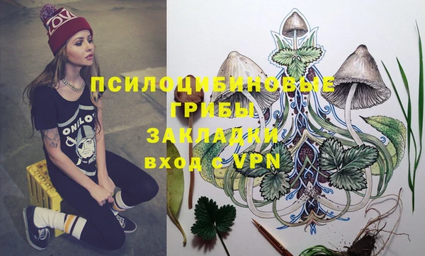 стафф Алексеевка