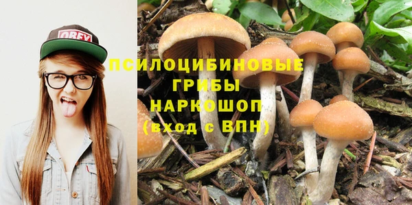 марки nbome Алзамай